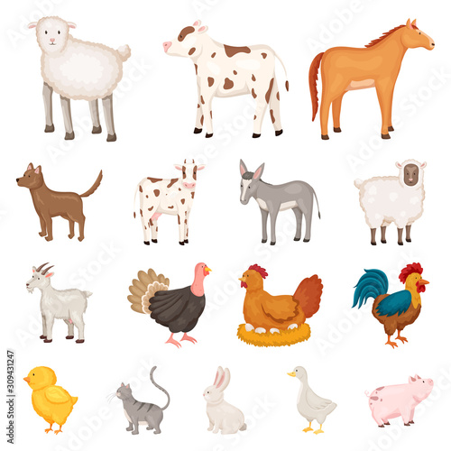 Vector design of farm and food sign. Collection of farm and countryside stock vector illustration.