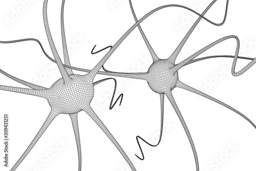 Neuron system wireframe mesh model. Low poly vector illustration. Science and medical healthcare concept