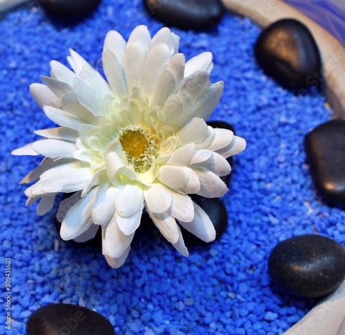 white Chriysantheme in wooden bowl on blue decorative stones and white taffeta scarf