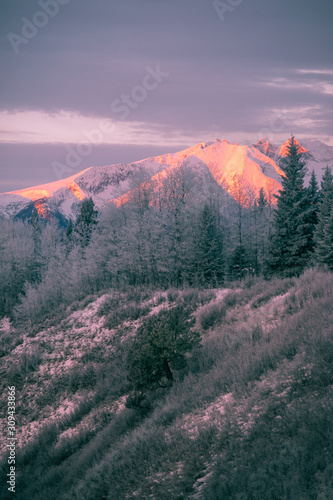 Canvas Print Highway of Tears - Hudson Bay Mountain - Morning Glow