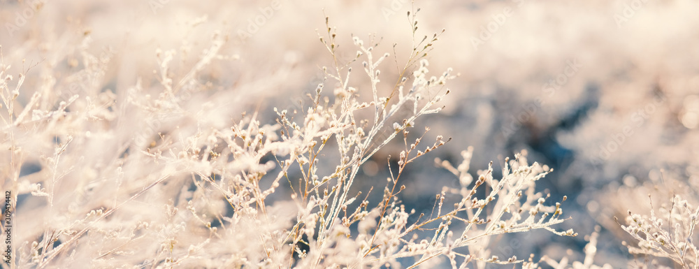 Fototapeta premium Abstract winter frost close up with blurred background.