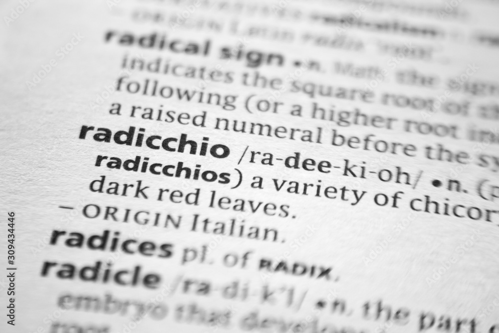 Word or phrase Radicchio in a dictionary.