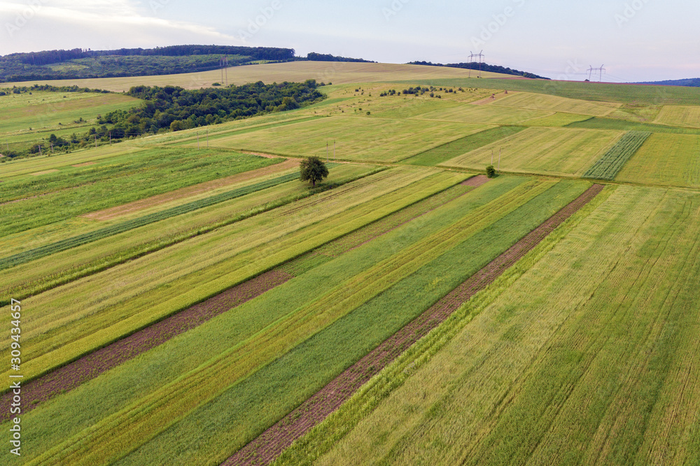 Aerial view of green agriculture fields in spring with fresh vegetation after seeding season. Aerial view of green agriculture fields in spring with fresh vegetation after seeding season.