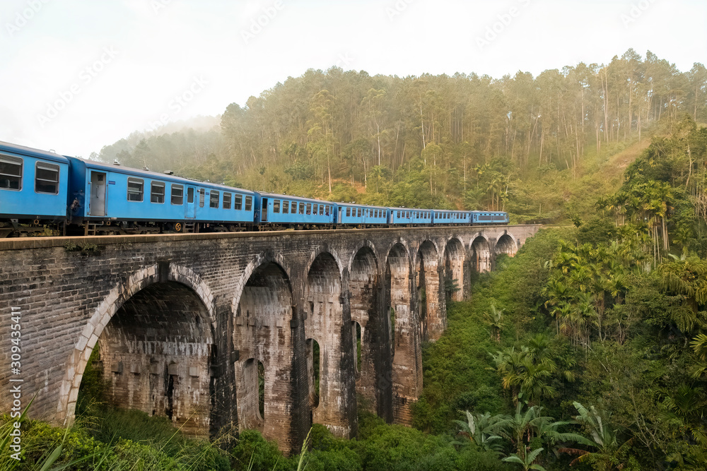 Train Passing over Nine Arch Bridge, Demodara, Sri Lanka Train Passing over Nine Arch Bridge, Demodara, Sri Lanka