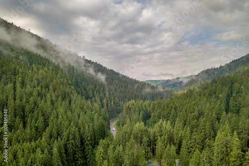 Aerial view of green Carpathian mountains covered with evergreen spruce pine foreston summer sunny day.