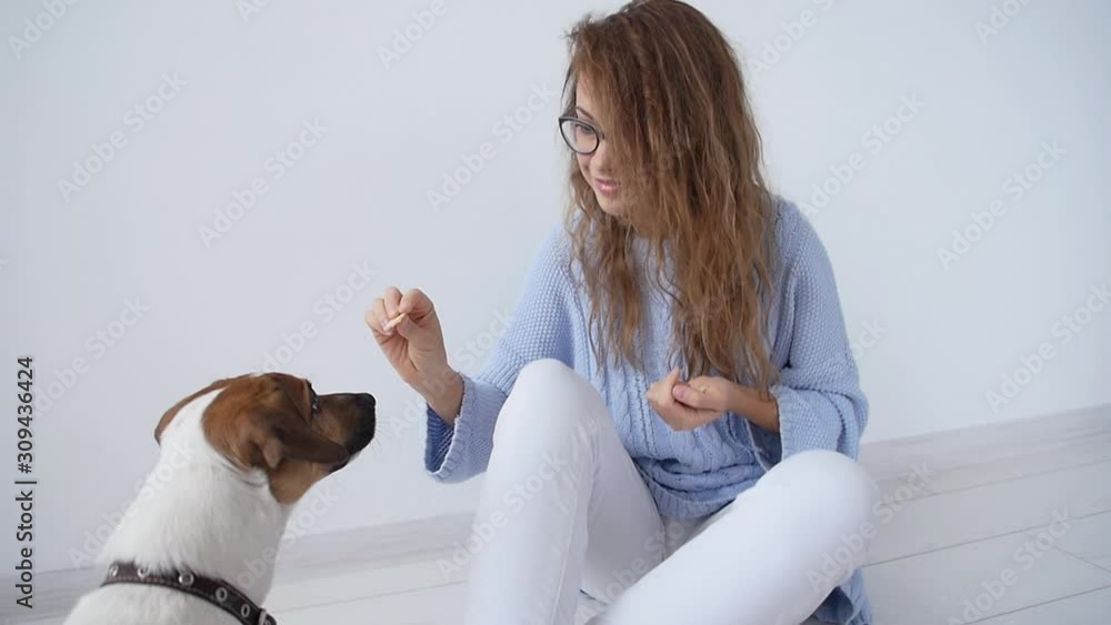 Love for animals concept. Happy young woman playing with her little cute dog at home Love for animals concept. Happy young woman playing with her little cute dog at home