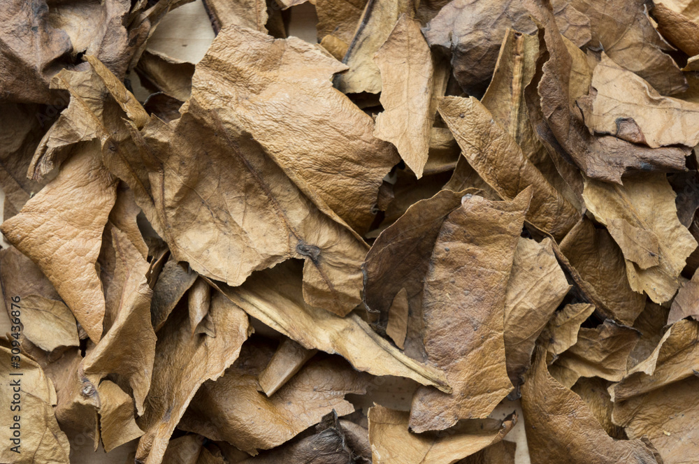 Dried medicinal leaves 