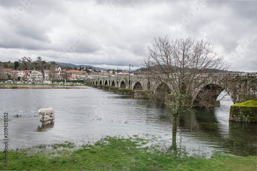 Old bridge in Ponte da Lima Portugal photo