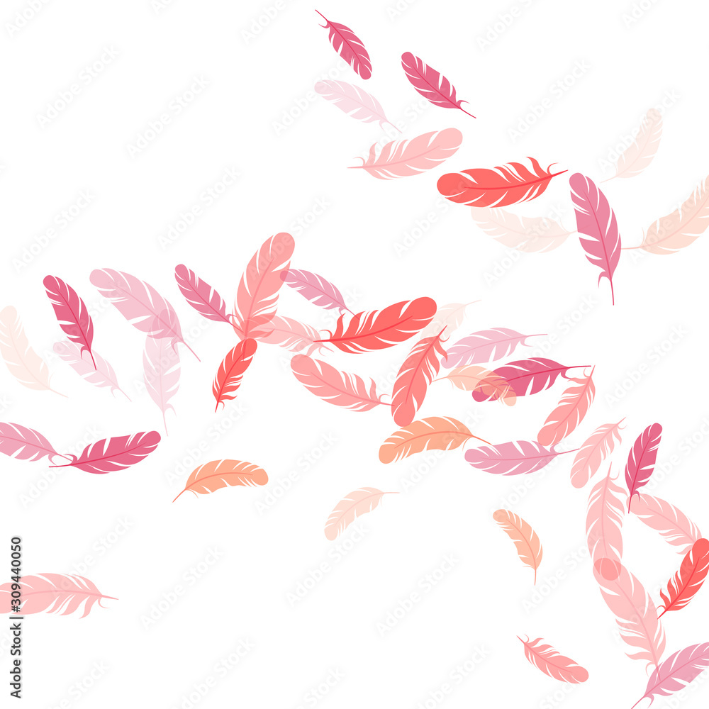 Detailed majestic feather on white design. Detailed majestic feather on white design.