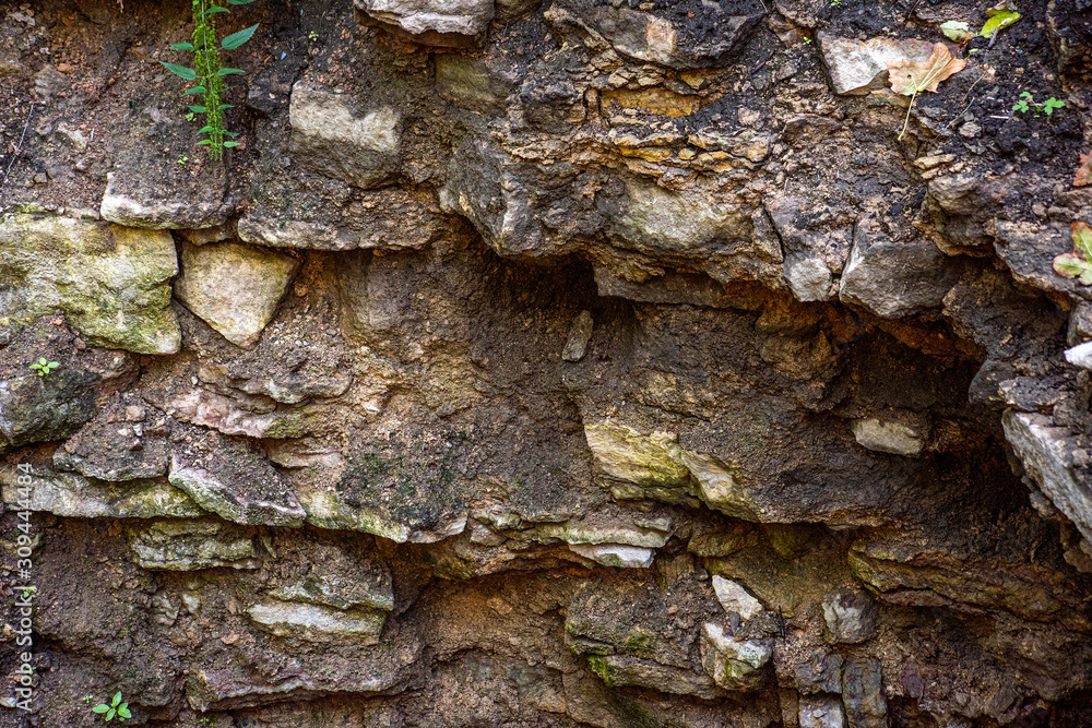 Ancient stone steps overgrown with vegetation