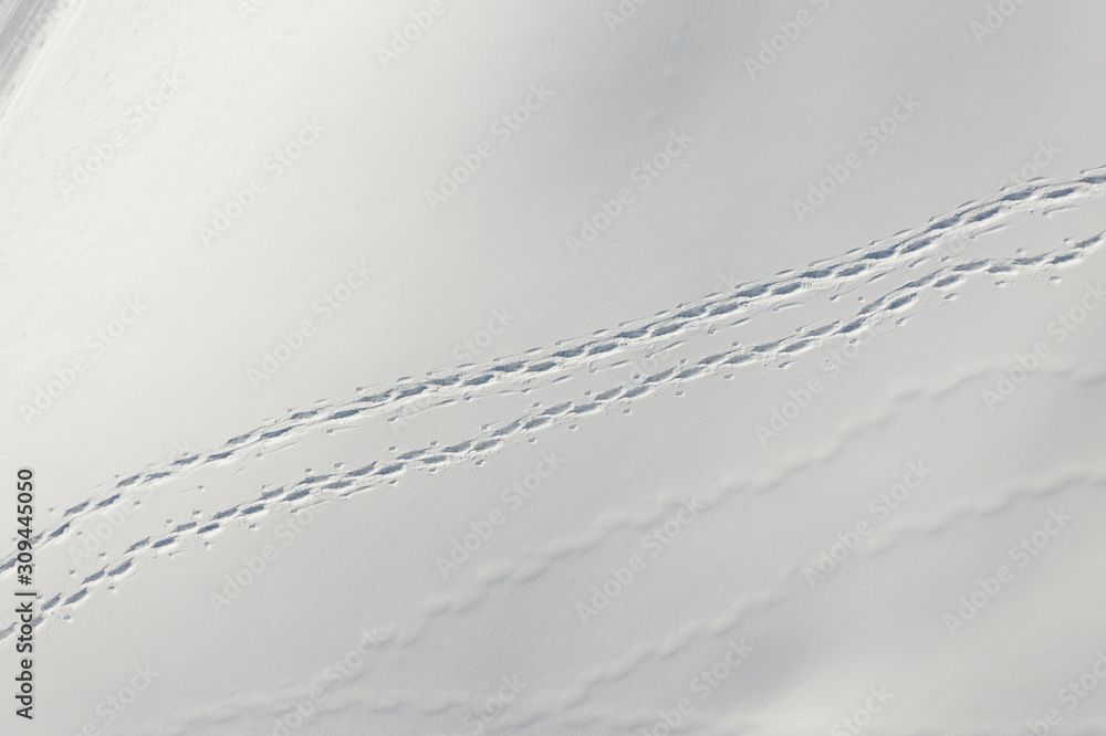 © PETER WEY/Stocksy - Aerial view of trails in the snow © PETER WEY/Stocksy - Aerial view of trails in the snow