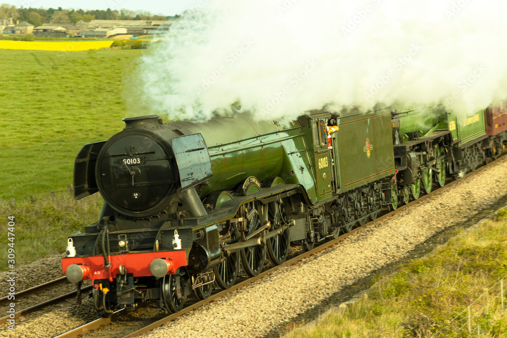 Obraz premium Flying Scotsman on East Coast Main Line in Northumberland