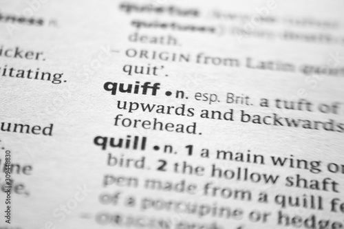 Word or phrase Quiff in a dictionary.
