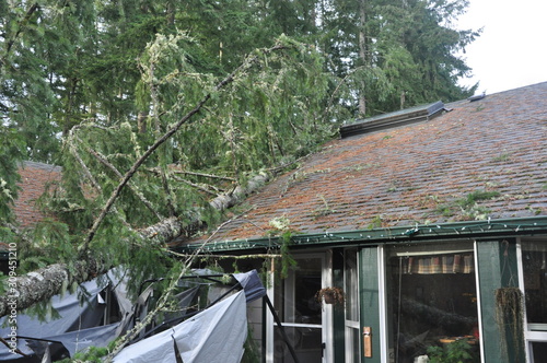 Wind Storm