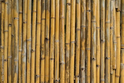 Texture yellow bamboo fence wall background
