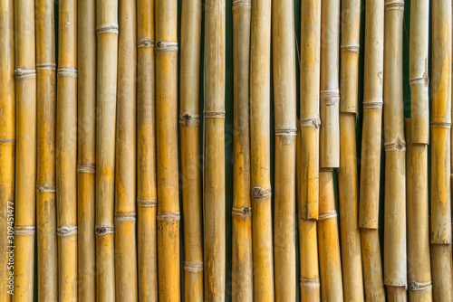 Fototapeta Naklejka Na Ścianę i Meble -  Texture yellow bamboo fence wall background