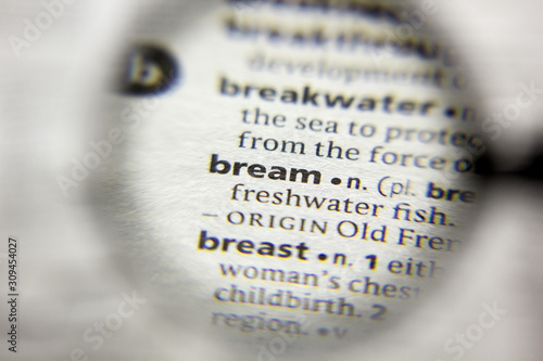 The word or phrase Bream in a dictionary.