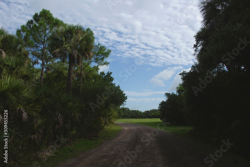 Pinckney Island Trail photo