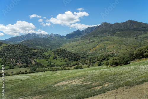 Typical Andalusian landscape near Ronda town in May © Pavel Kirichenko