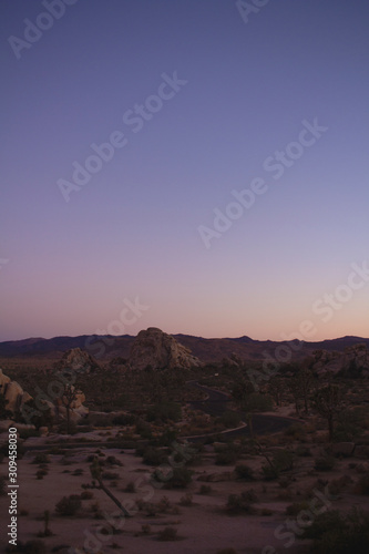 Joshua Tree Road