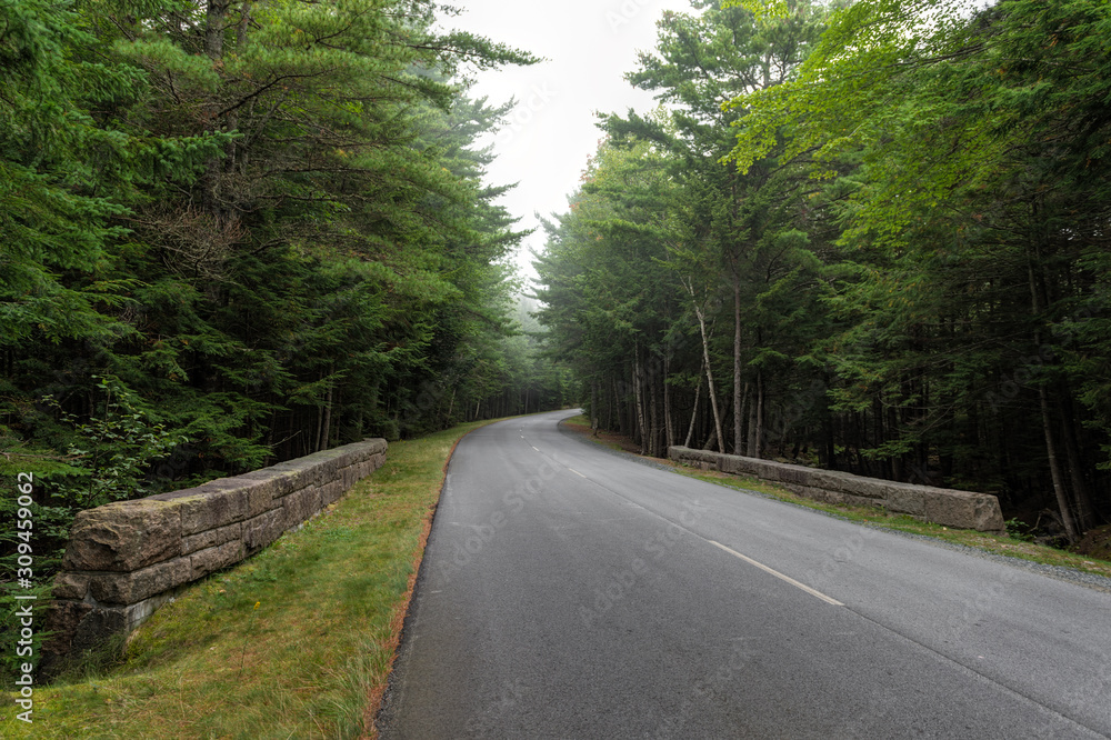 Road Winds Through Acadia National Park Road Winds Through Acadia National Park
