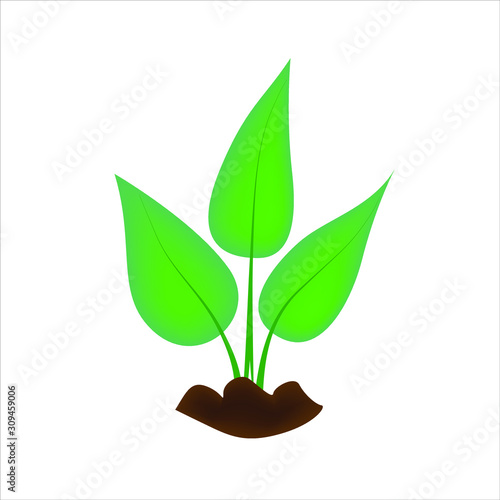Isolate illustration of green sprout leaves on the ground. Symbol of ecology, environmental awareness, nature protection concept. 