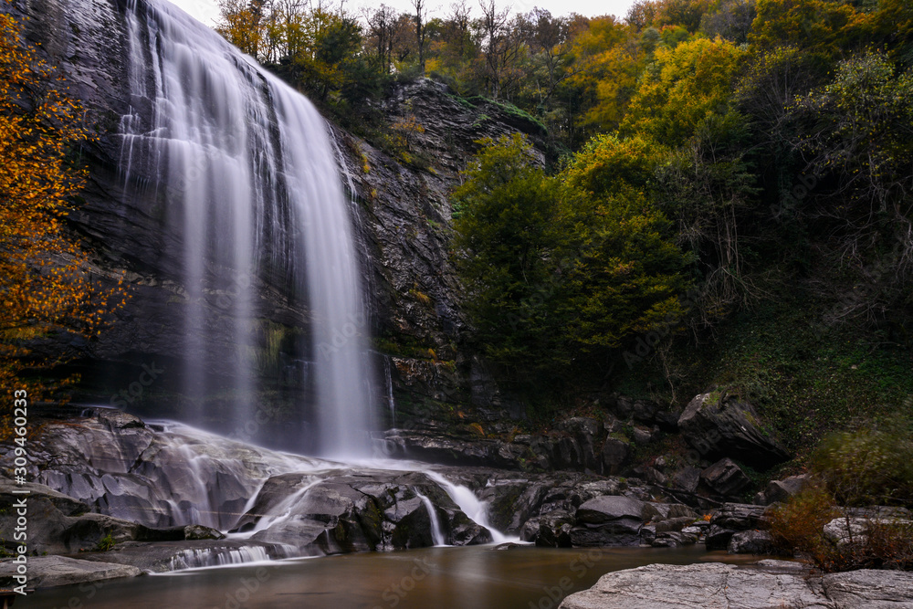 Fototapeta premium the edge of the creek in autumn