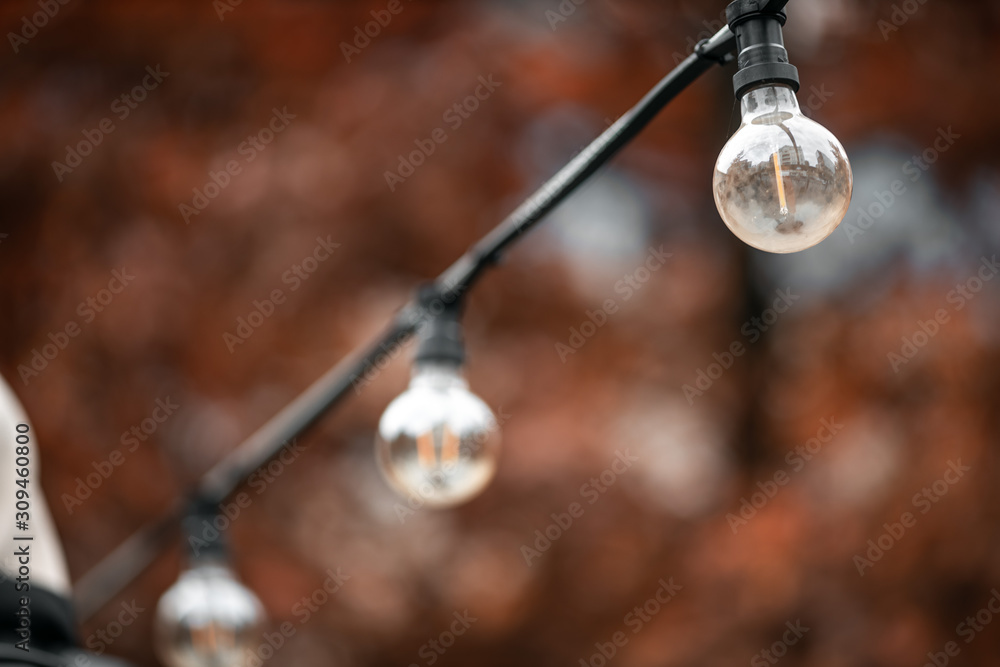 Fototapeta premium Lighting decor. Retro light bulb filament hanging close up. Illuminated.