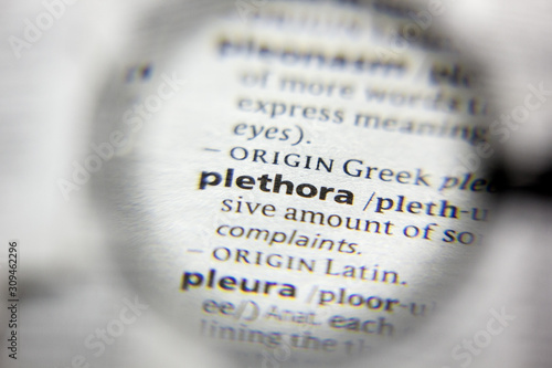 Schilderij op canvas The word or phrase Plethora in a dictionary.