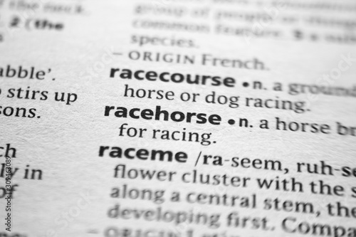 Word or phrase Racehorse in a dictionary.