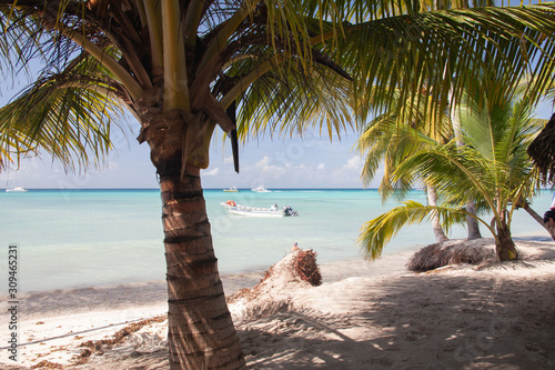 Dominican Republic Caribbean Coastline tropical beach