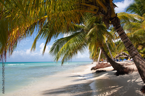 Fototapeta Naklejka Na Ścianę i Meble -  Dominican Republic Caribbean Coastline tropical beach