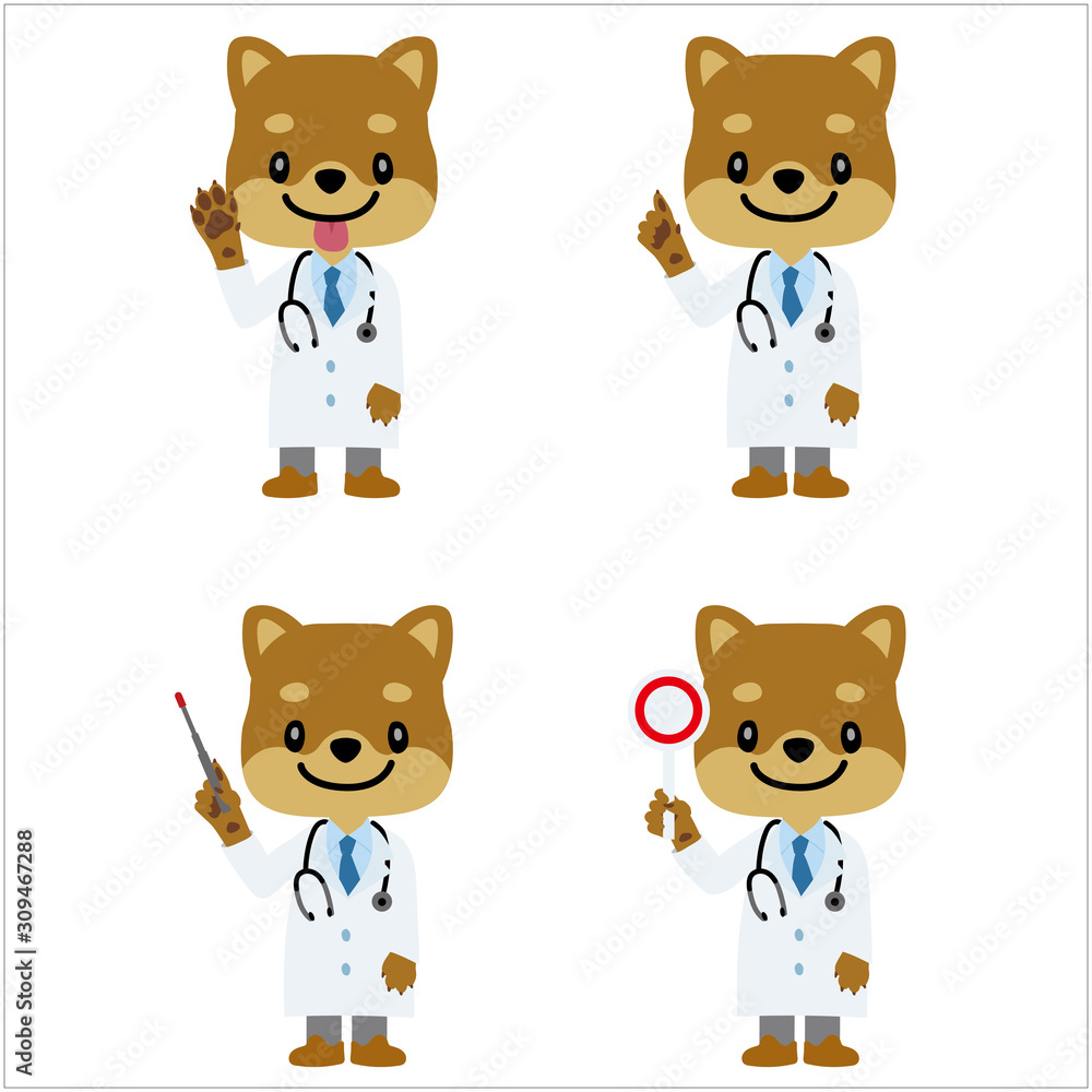 イラスト素材 犬を擬人化したお医者さん 獣医師 のキャラクターイラストセット 柴犬 指示棒 マルバツ棒 Stock Vector Adobe Stock