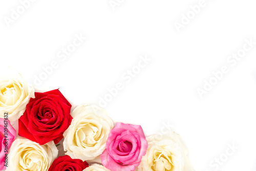 Group of red  white and pink roses over white background with room for text