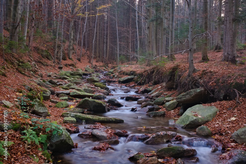 Fototapeta Naklejka Na Ścianę i Meble -  Long exposure photography of a mountain stream in autumn leaves