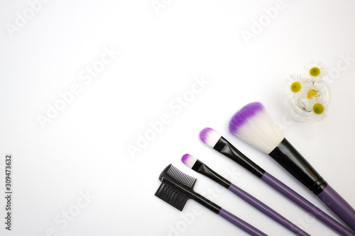 Fototapeta Naklejka Na Ścianę i Meble -  Cosmetics and skin care concept. Glass dropper bottle and makeup brush set