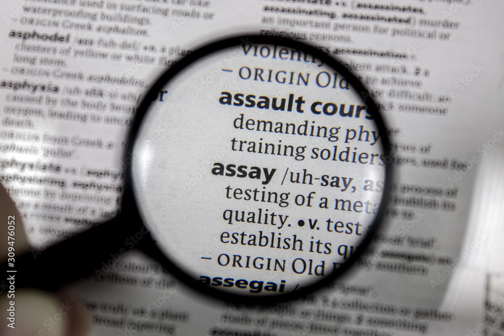 The word or phrase assay in a dictionary.