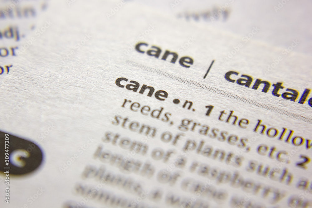 Word or phrase Cane in a dictionary. Word or phrase Cane in a dictionary.