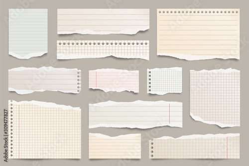 Colored ripped lined paper strips collection. Realistic paper scraps with torn edges. Sticky notes, shreds of notebook pages. Vector illustration.