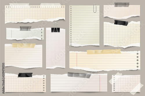 Colored ripped lined paper strips collection. Realistic paper scraps with torn edges and adhesive tape. Sticky notes, shreds of notebook pages. Vector illustration.