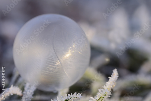 A frozen soap bubble on frozen grass with ice crystals against a light background with space for text