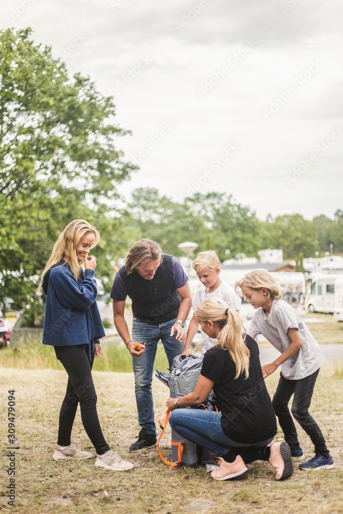 Family looking at woman unpacking tent at camping site Family looking at woman unpacking tent at camping site