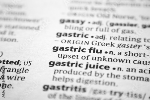 Word or phrase Gastric flu in a dictionary.