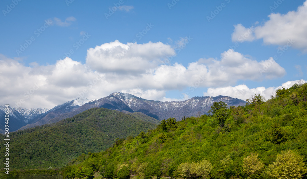 Mountains covered with trees, cloudy sky in summer.