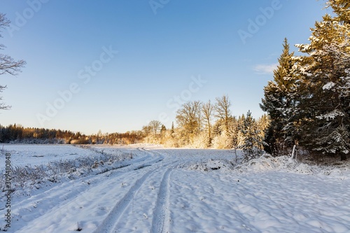 Beautiful view of winter scape. Country road in snow forest. Beautiful nature winter background. © Alex