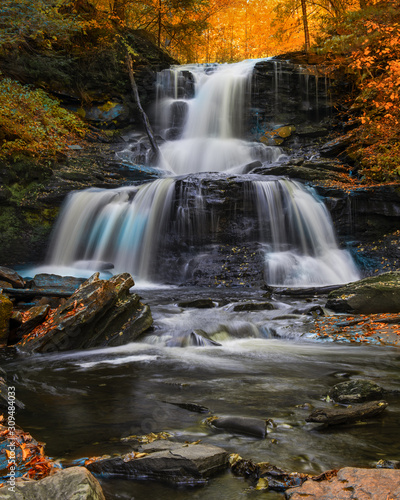 Waterfall in Forest During Autumn