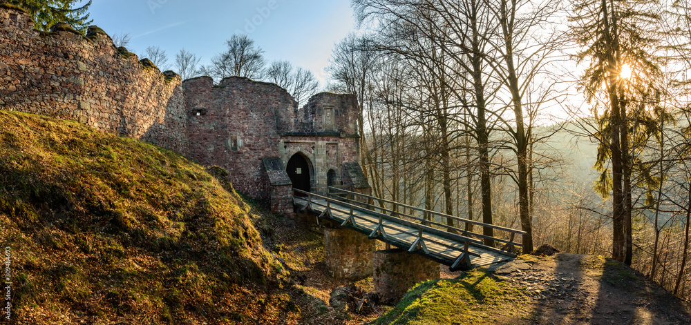 Ruins of Litice castle in the forest. Tourist attraction on the tourist trail.