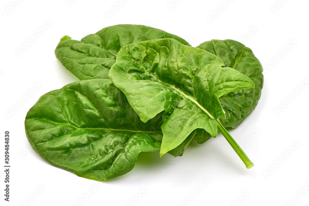 Fresh leaves of spinach, isolated on white background Fresh leaves of spinach, isolated on white background