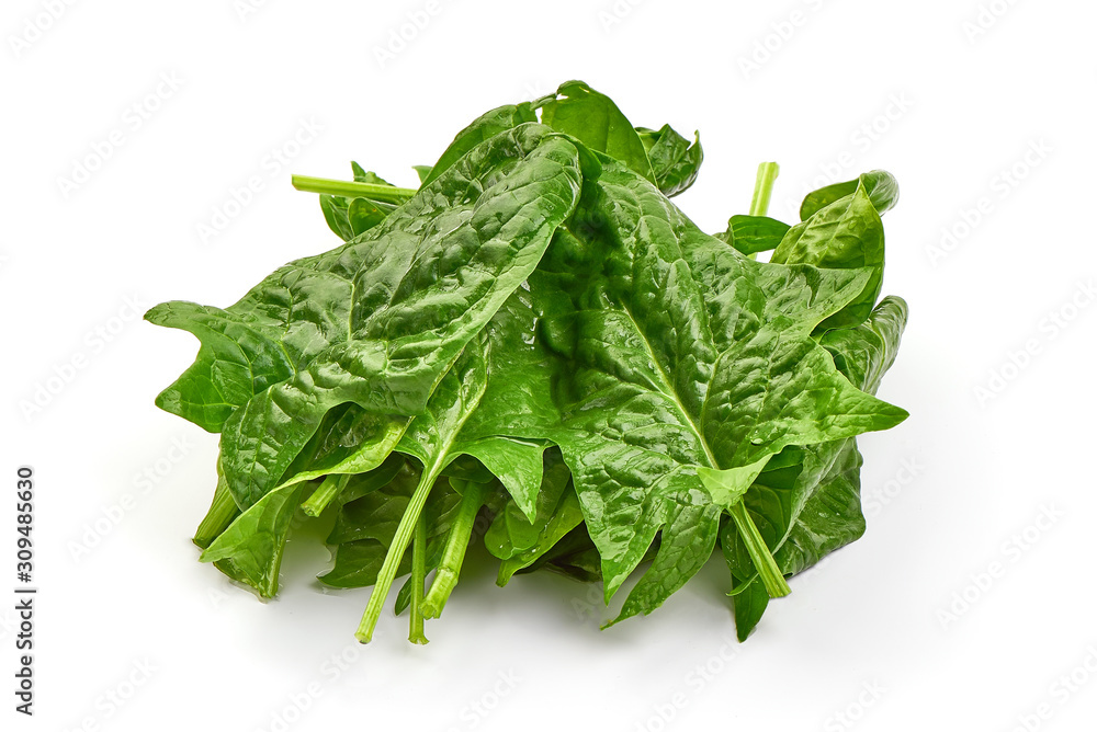 Fresh leaves of spinach, isolated on white background Fresh leaves of spinach, isolated on white background
