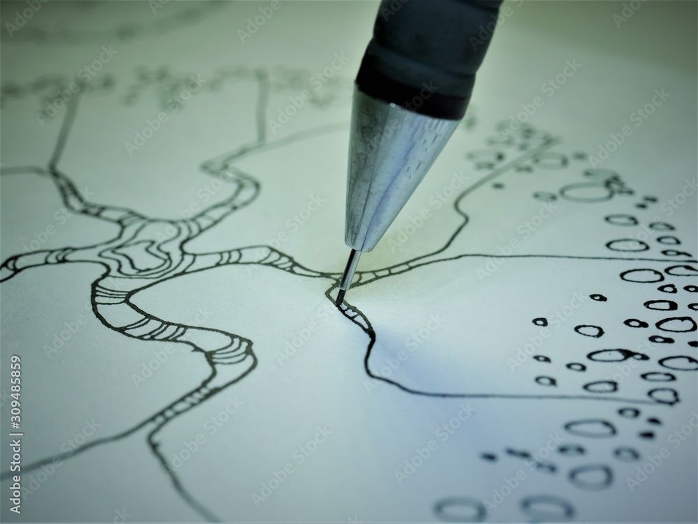 Technical detail close up of metric scale ruler and plan landscaping tree drawing 